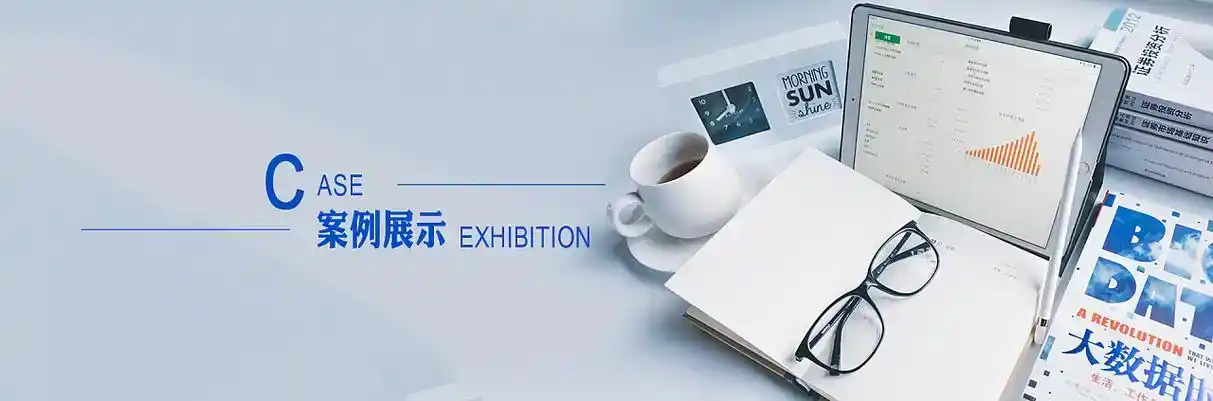 天台县软件开发